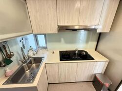 Hillview Regency (D23), Condominium #564092381